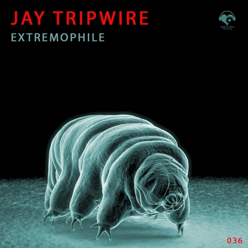 Jay Tripwire - Extremophile [HNS042]